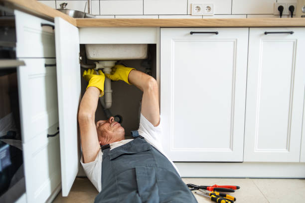 Best Local Plumber Services  in Warren Park, IN